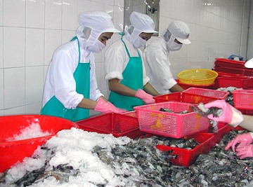 Mitsui to buy 30.8 pct stake in unit of Vietnam's seafood firm