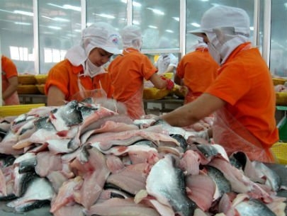 Vietnam considers granting catfish farming quotas