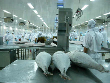 EU reels in Vietnamese tuna exports