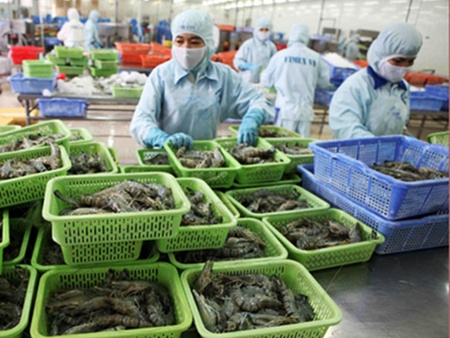 Rising shrimp exports boost industry growth