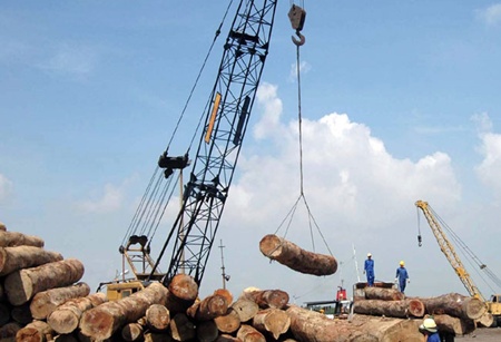 Strictness rules timber exports