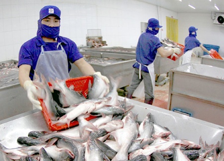 Domestic tra fish exports set to drop back on depleted resources