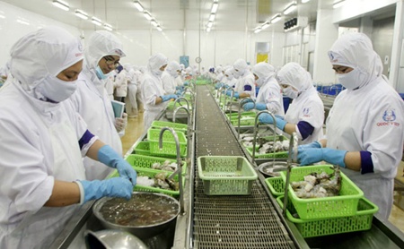 Shrimp exports on the rise