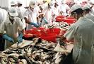 Seafood exports down 8% in Q1