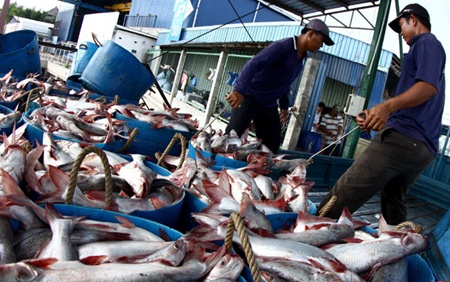 Fisheries look to net more exports on surging value