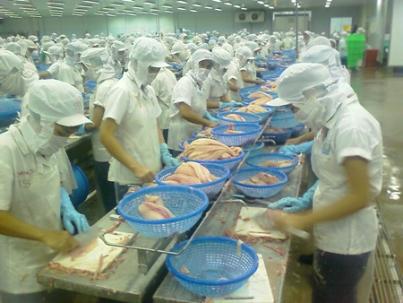 Seafood exports possess potential