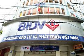 BIDV seeks foreign strategic investors