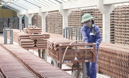 Intensive development model should be implemented in stages
