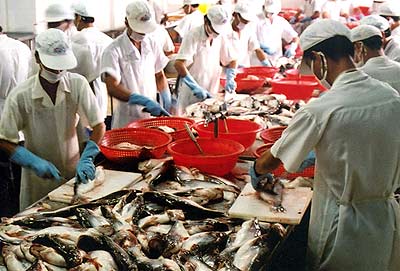 Tra fish exports to ASEAN surge