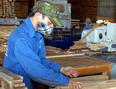 Domestic wood exports surge in Q1 on track to annual target