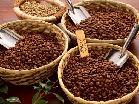 Viet Nam's coffee exports to Algeria on the rise