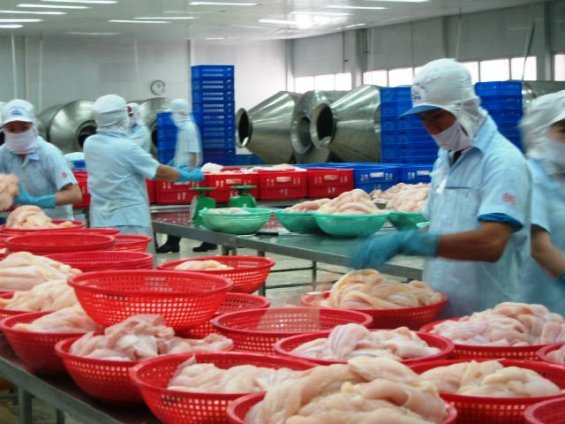 US imposes unfair, but bearable, anti-dumping tax on VN's catfish