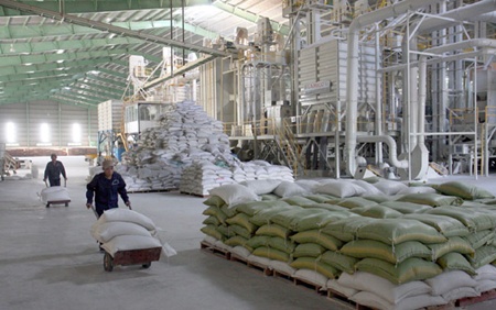 Farmers suffer as rice remains unsold