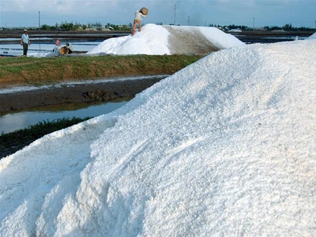 Farmers toast good harvest, rue decrease in salt prices