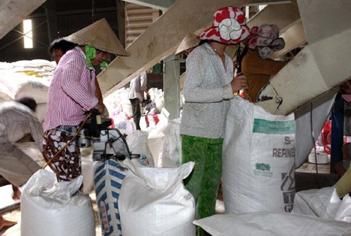Rice exports projected to reach 1.8m tonnes in Q2
