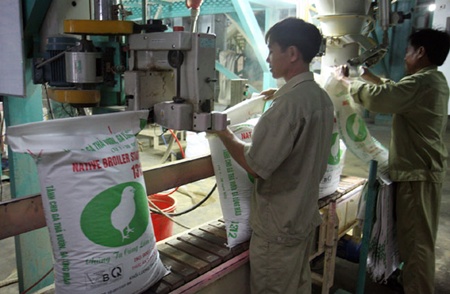 Animal feed makers face fierce competition