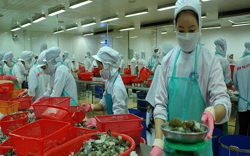 VN shrimp exports to US jump in Q1