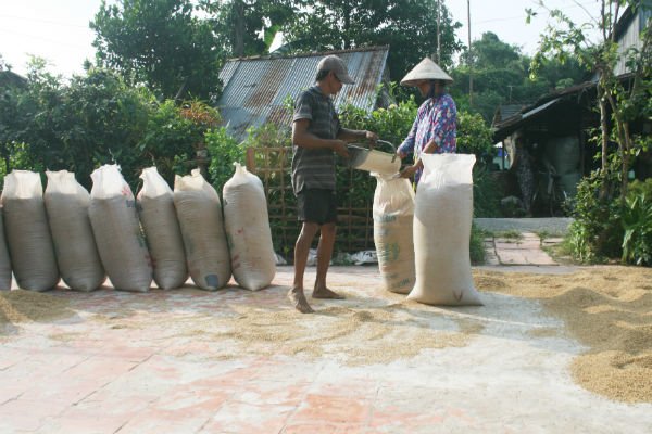 Vietnamese rice perceived as ‘cheap’