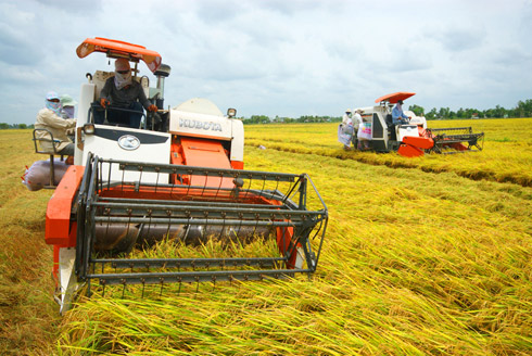 Agricultural firms gain access to cheaper credit