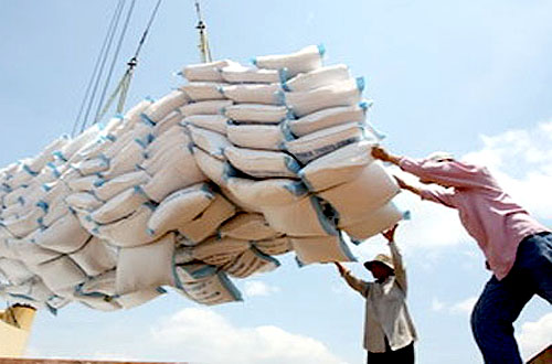 Stockpiling helps to boost rice farmers' profits
