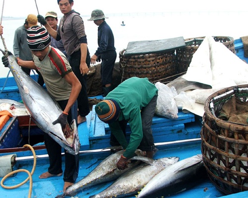 Ministry unveils plans to modernise tuna fishing