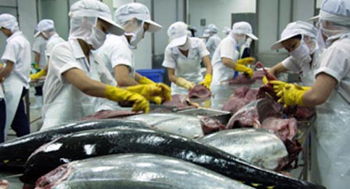 Seafood production sees steady growth in first 6 months
