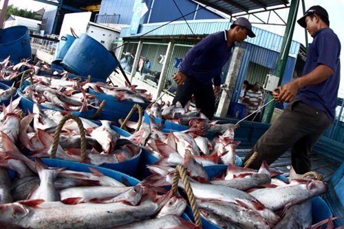 US revises anti-dumping duties on tra fish after review