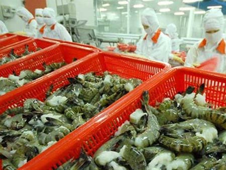 Shrimp exports to Germany soars
