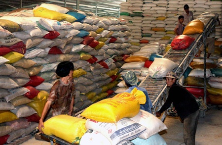 VN expects to sell entire annual rice yield