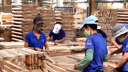Experts log potential of VN wood