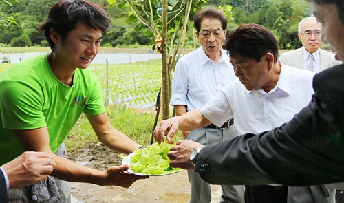 Vietnam’s vegetable granary will be Asian hub for green produce: Japanese officials