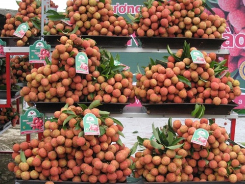 US to import Vietnamese litchi and longan
