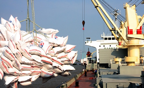 Rice exporters target stable supplies