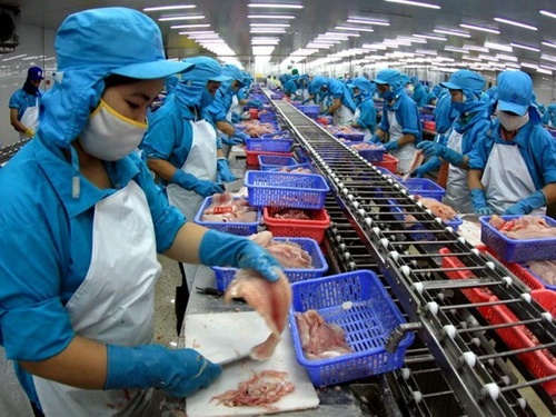 Viet Nam fish exports lead in Colombia
