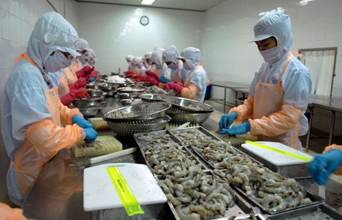 VASEP appeals against US duties on VN shrimp