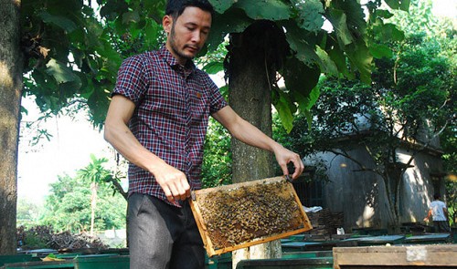 Vietnam man gets rich on beekeeping