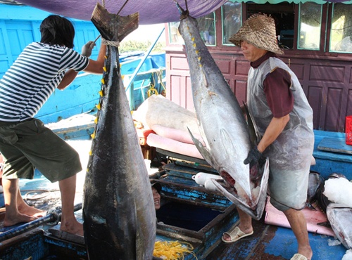 Fisheries output up in 9 months