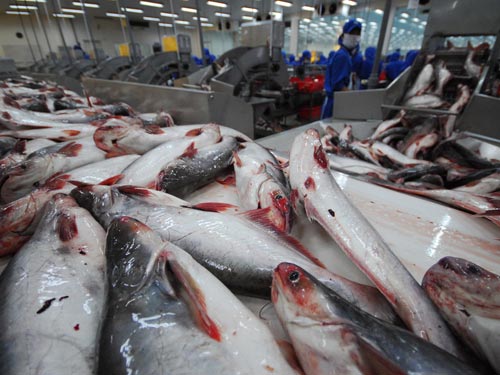 Tra fish exports rise in 2014