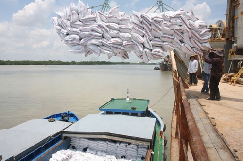 Rice exports earn $2.5b, prices fall