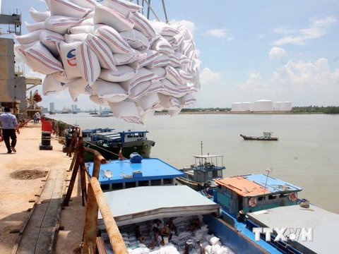 Rice exports: Is Vietnam subsidizing foreign consumers?