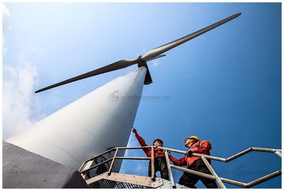 Domestic investors want to sell wind power at 17 cents per kwh