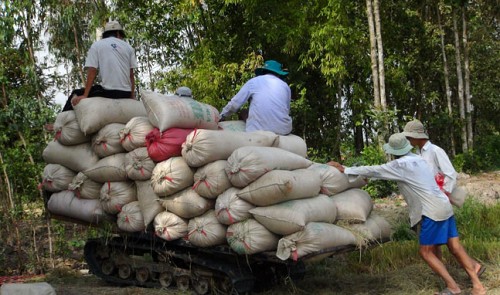 Vietnam eyes 6-10% hikes in rice, garment exports