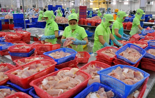 Tra fish exports expected to drop 5% this year