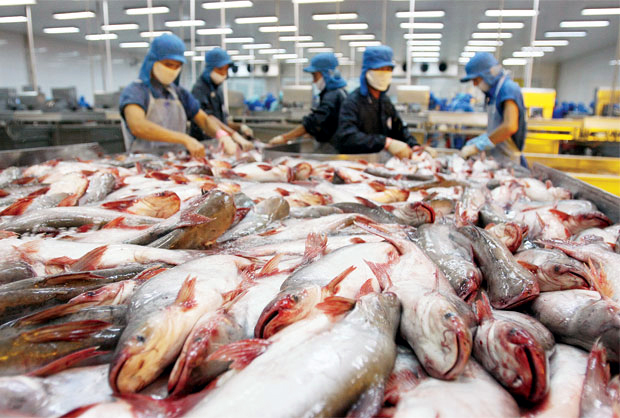 Businesses oppose ministry’s catfish-export regulation