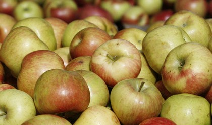 No listeria-tainted apples imported into Vietnam: watchdog