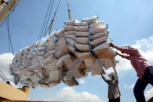 Rice traders to expand sources