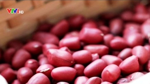 Viet Nam suspends peanut imports from India