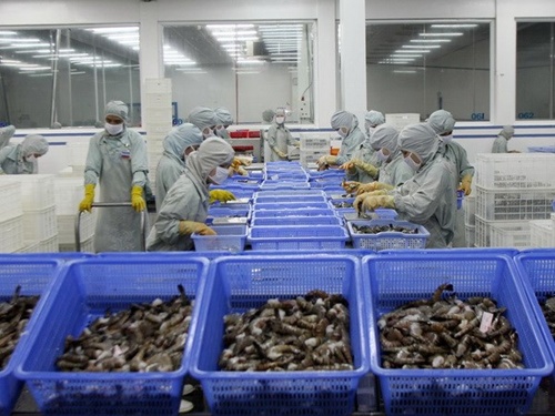 Anti-dumping tariffs on shrimp sent to US see huge reduction