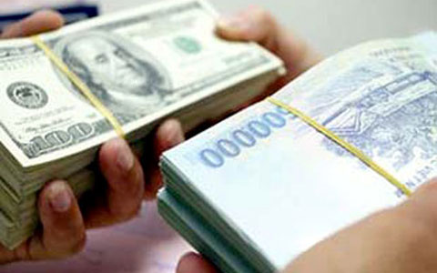 Exchange rates to remain stable in H1