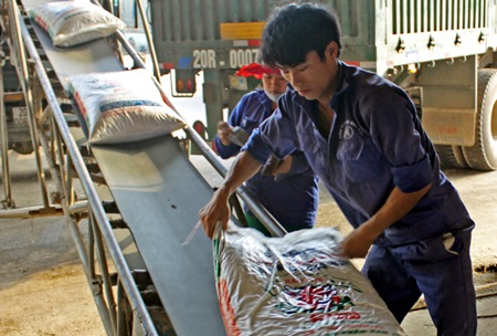 VN feed firms look to match foreign rivals